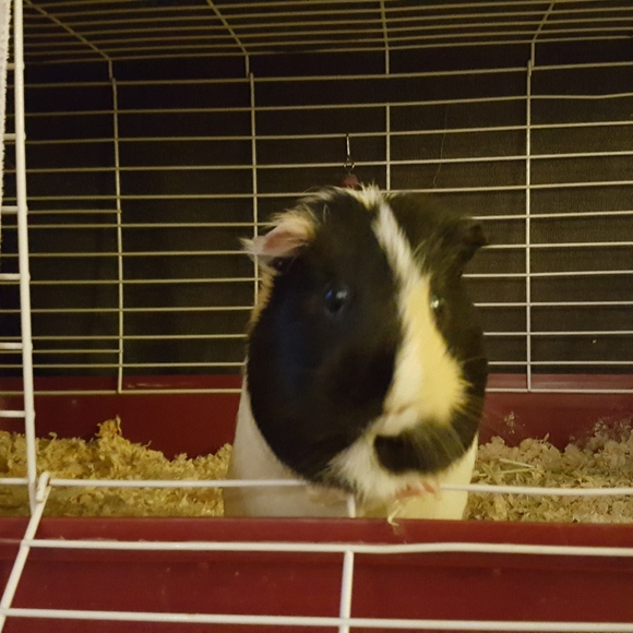 Meet your Posher, Theresa - Picture 7 of 7